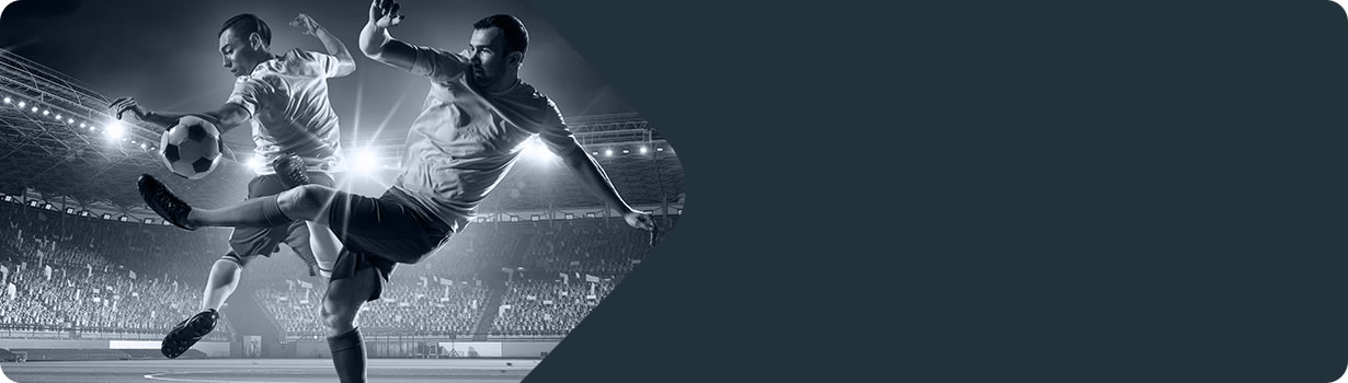 sudoku with auto candidate
